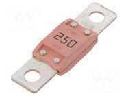 Fuse: fuse; 250A; 32VDC; automotive MTA