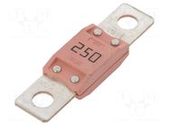 Fuse: fuse; 250A; 32VDC; automotive MTA