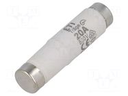 Fuse: fuse; 20A; 500VAC; 500VDC; gG; ceramic; DI; D ETI POLAM