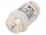 Fuse: fuse; 100A; 500VAC; 500VDC; gG; ceramic; DIV; D ETI POLAM