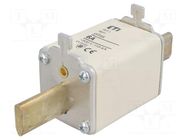 Fuse: fuse; 6A; 500VAC; gG; ceramic,industrial; NH1; WT-NH ETI POLAM