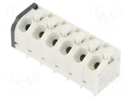 Connector: PCB terminal block; terminal; 10A; 250V; angled 45° ECE