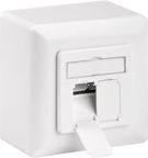 CAT 6 Universal Wall Plate Incl. On-Wall Mounting Frame, white - 2x RJ45 connections, shielded, termination strip for tool-free IDC mounting
