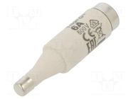 Fuse: fuse; 6A; 500VAC; 500VDC; gG; ceramic; DI; D ETI POLAM