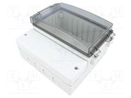 Enclosure: wall mounting; X: 166mm; Y: 160mm; Z: 106mm; CARDMASTER FIBOX