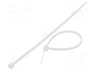 Cable tie; L: 120mm; W: 2.5mm; natural; polyamide; 80N; Ømax: 30mm FIX&FASTEN