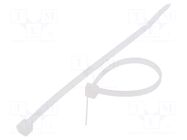 Cable tie; L: 120mm; W: 3.6mm; natural; polyamide; 177N; Ømax: 30mm FIX&FASTEN