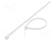 Cable tie; L: 140mm; W: 3.6mm; natural; polyamide; 177N; Ømax: 33mm FIX&FASTEN