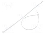 Cable tie; L: 300mm; W: 4.8mm; natural; polyamide; 222N; Ømax: 83mm FIX&FASTEN