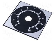Scale; Range: 0 ÷ 10; 58x58mm; Øhole: 10mm; aluminium SUPERTRONIC