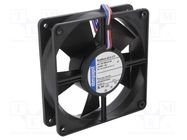 Fan: DC; axial; 24VDC; 119x119x32mm; 160m3/h; 45dBA; ball bearing EBM-PAPST