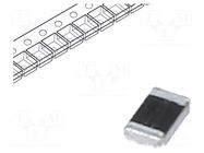 Antenna; Bluetooth,WiFi,ZigBee; 1.88dBi; linear; SMD KYOCERA AVX