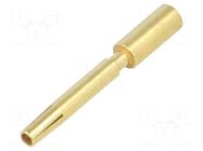 Contact; female; 1.5mm; gold-plated; 1.5mm2; M12 Power; PE; crimped HUMMEL