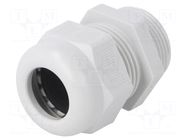 Cable gland; PG21; IP68; polyamide; light grey; V-TEC PG OBO BETTERMANN