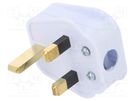 Connector: AC supply; plug; 2P+PE; 250VAC; 5A; white; PIN: 3; angled LIAN DUNG