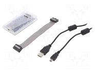 Programmer: debugger; RENESAS RENESAS