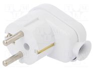 Connector: AC supply; male; plug; 2P+PE; 250VAC; 16A; white; PIN: 3 PLASTROL