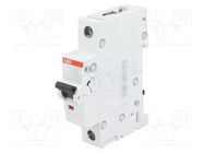 Circuit breaker; 230VAC; Inom: 10A; Poles: 1; Charact: B; 6kA; IP20 ABB