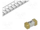 Fuse: fuse; ultra rapid; 62mA; 125VAC; 125V; 125VDC; SMD; ceramic LITTELFUSE