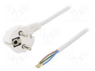 Cable; 3x1mm2; CEE 7/7 (E/F) plug angled,wires,SCHUKO plug; PVC PLASTROL