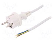 Cable; 3x1mm2; CEE 7/7 (E/F) plug,wires,SCHUKO plug; PVC; 3m PLASTROL
