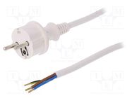 Cable; 3x1.5mm2; CEE 7/7 (E/F) plug,wires,SCHUKO plug; PVC; 1.5m PLASTROL