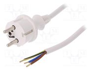Cable; 3x1.5mm2; CEE 7/7 (E/F) plug,wires,SCHUKO plug; PVC; 5m PLASTROL