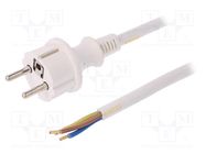 Cable; 3x2.5mm2; CEE 7/7 (E/F) plug,wires,SCHUKO plug; PVC; 5m PLASTROL