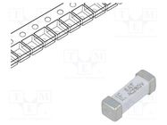 Fuse: fuse; time-lag; 5A; 280VAC; 280V; SMD; ceramic; 443LC; NANO2® LITTELFUSE