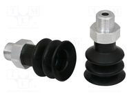 Suction cup; 20mm; G1/8" AG; Shore hardness: 55; 2cm3; FSG SCHMALZ