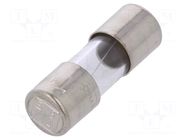 Fuse: fuse; 1A; 250VAC; time-lag; cylindrical,glass; 5x15mm ESKA