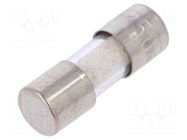 Fuse: fuse; 0.5A; 250VAC; quick blow; cylindrical,glass; 5x15mm ESKA