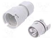 Connector: AC supply; screw terminal; female; 16A; 250V; ways: 2 AAG STUCCHI