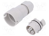 Connector: AC supply; screw terminal; female; 9÷12mm; 1÷2.5mm2 AAG STUCCHI