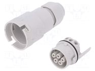Connector: AC supply; screw terminal; female; 16A; 400V; ways: 5 AAG STUCCHI
