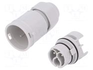 Connector: AC supply; screw terminal; male; 16A; 250V; ways: 2 AAG STUCCHI