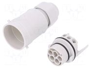 Connector: AC supply; screw terminal; male; 16A; 400V; ways: 5; 4+PE AAG STUCCHI