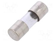 Fuse: fuse; 0.5A; 250VAC; time-lag; cylindrical,glass; 5x15mm ESKA