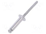 Rivet; aluminium; Rivet diam: 4.8mm; L.rivet: 19mm; 50pcs. VOREL