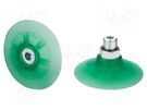 Suction cup; 60mm; G1/4 AG; Shore hardness: 65; 12.669cm3; SPF SCHMALZ