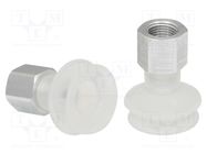 Suction cup; 22mm; G1/8" IG; Shore hardness: 55; 1.4cm3; FSGA 