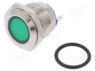 Indicator: LED; flat; green; 24VDC; 24VAC; Ø16mm; brass NINIGI