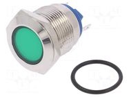 Indicator: LED; flat; green; 24VDC; 24VAC; Ø19mm; connectors; brass NINIGI