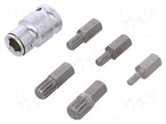 Kit: screwdriver bits; spline (12-angles); 1/2"; 6pcs. YATO
