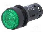 Switch: push-button; 22mm; Stabl.pos: 1; NO; green; filament lamp SCHNEIDER ELECTRIC