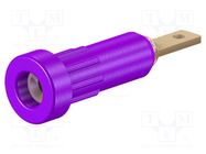 Socket; 2mm banana; 10A; Overall len: 23mm; violet; insulated STÄUBLI