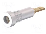 Connector: 2mm banana; socket; 10A; Overall len: 23mm; white; 60VDC STÄUBLI