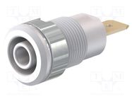 Connector: 4mm banana; socket; 32A; 1kV; Cutout: Ø12.2mm; white STÄUBLI