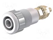 Connector: 4mm banana; socket; 32A; 1kV; Cutout: Ø12.2mm; white STÄUBLI