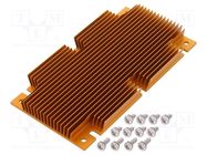 Heatsink: extruded; grilled; BGA; golden; L: 117mm; W: 61mm; H: 11.4mm Advanced Thermal Solutions